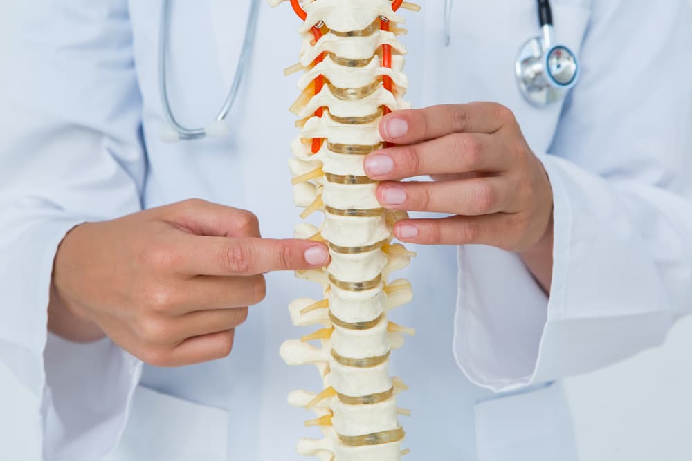 Doctor demonstrating spinal anatomy with a medical spine model, highlighting vertebrae for injury explanation.