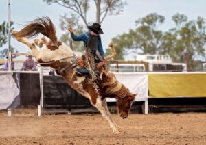 A cowboy rides a bucking bronc at a rodeo event in Austin, Texas, showcasing skill and daring in the heart of cowboy country.
